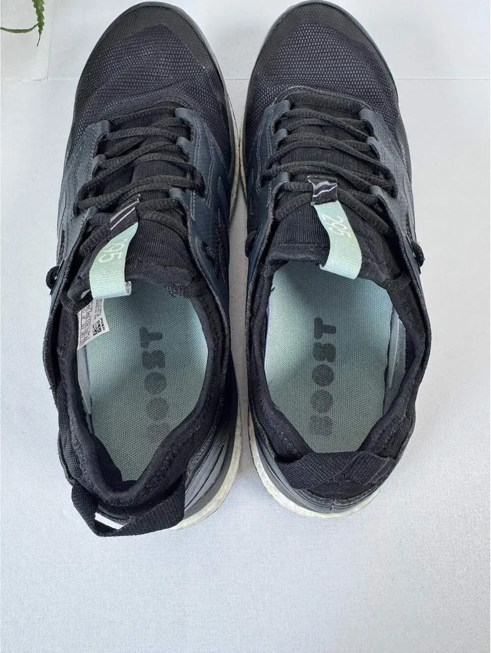 adidas terrex boost
